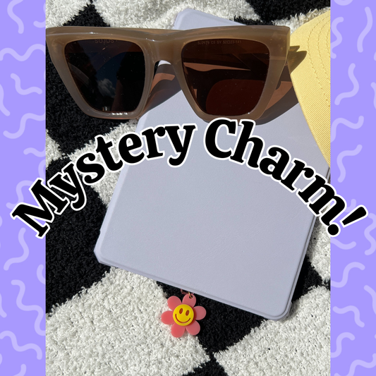 Mystery Charms!